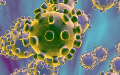 Het Coronavirus, zo komen we er van af